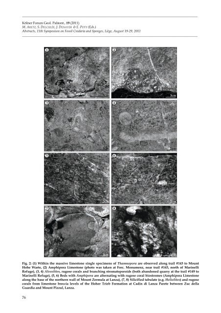 Aretz et al_2011.pdf - ORBi - Université de Liège