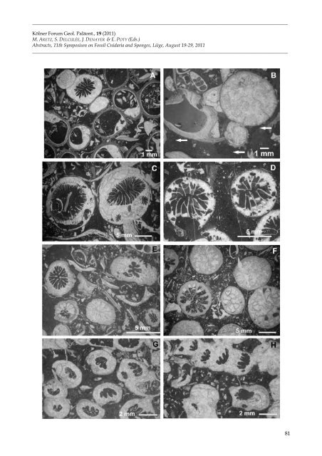 Aretz et al_2011.pdf - ORBi - Université de Liège