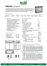 PM4100 4V 9.5Ah(20hr) - Mule Lighting