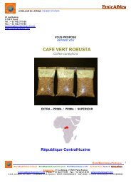 EtnicAfrica CAFE Centrafrique - EuroBusiness-partners