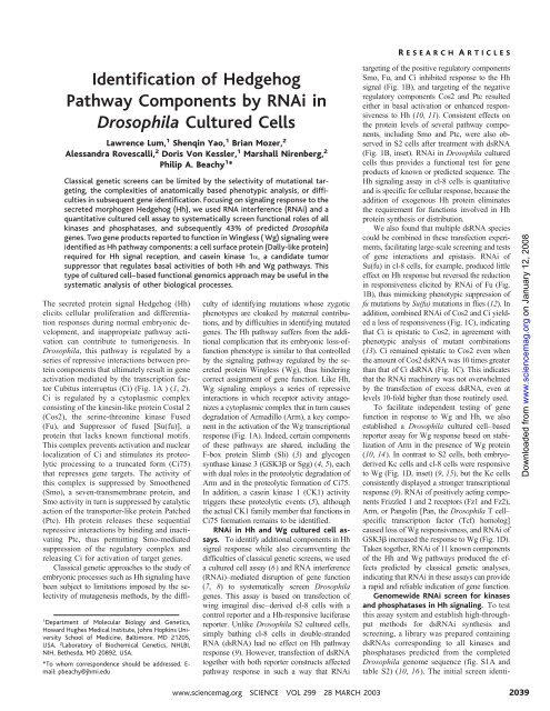 Identification of Hedgehog pathway components by RNAi in ...