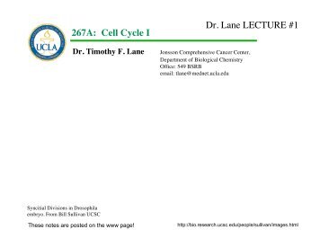 PDF 1 up - UCLA Department of Biological Chemistry