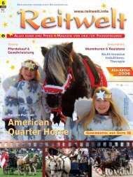 Thema - Reitwelt