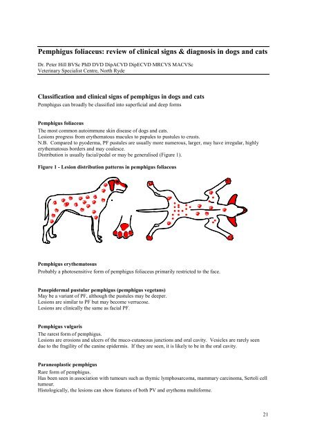 Pemphigus foliaceus: review of clinical signs & diagnosis in dogs ...
