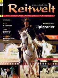 Lipizzaner - Reitwelt
