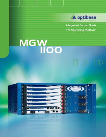 MGW 1100