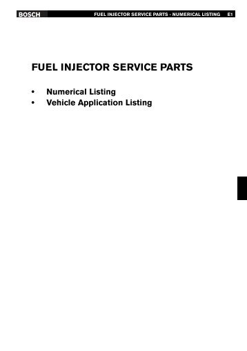 FUEL INJECTOR SERVICE PARTS