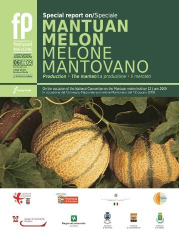 MANTUAN MELON MELONE MANTOVANO - B2B24 - Il Sole 24 Ore