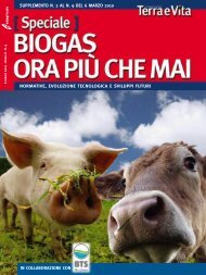 Mola Abrasiva Diamantata/cbn Per L'affilatura Di Lame Da Taglio,commercio  All'Ingrosso Mola Abrasiva Diamantata/cbn Per L'affilatura Di Lame Da  Taglio -lcknife.com