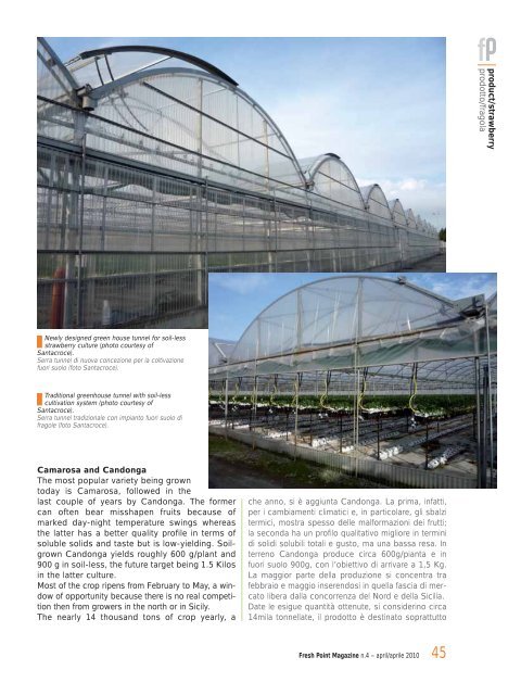 Fresh Point Magazine - B2B24 - Il Sole 24 Ore