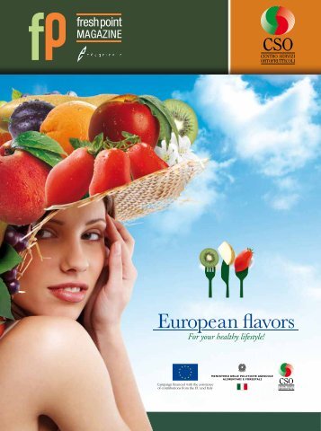 European Flavors - B2B24