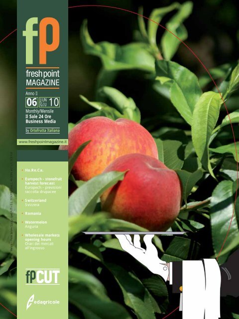 Fresh Point Magazine - B2B24 - Il Sole 24 Ore