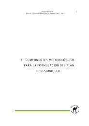 PD-Armenia-Quindío-2001-2003-Diagnóstico 1- Formulación del Plan