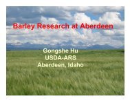 Barley Research at Aberdeen - American Malting Barley Association ...