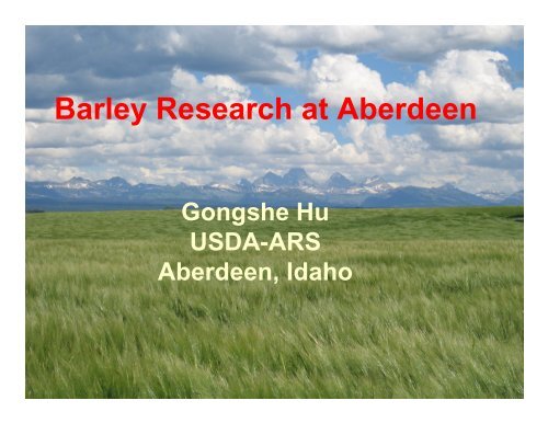 Barley Research at Aberdeen - American Malting Barley Association ...