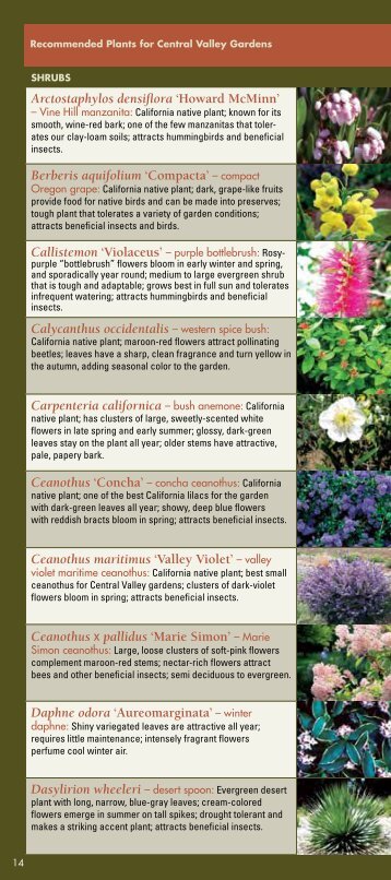 Recommended Plants for Central Valley Gardens - the UC Davis ...