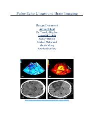 Pulse-Echo Ultrasound Brain Imaging - Senior Design