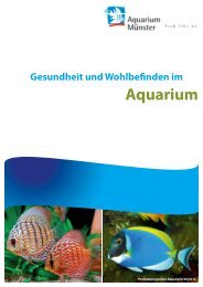 Aquarium - aqua united Gmbh