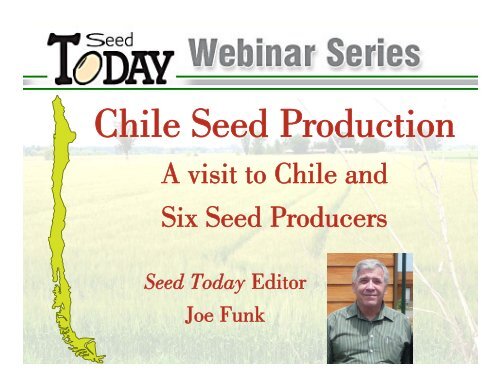 Chile Seed Production