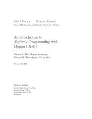 An Introduction to Algebraic Programming with Magma (Draft)