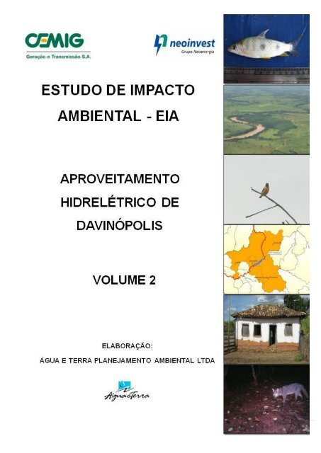 EIA – Estudo de Impacto Ambiental - AHE Davinópolis V2.1