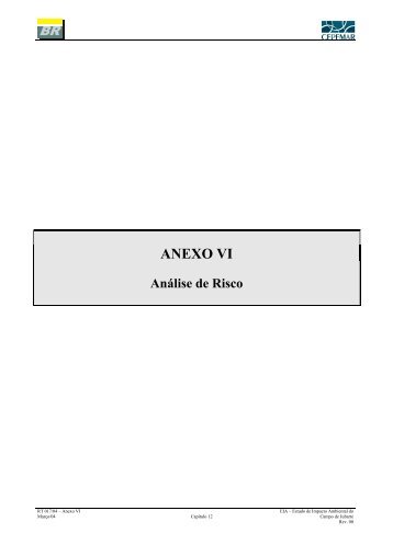 Anexo VI: Análise de Risco - Ibama