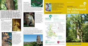 "Der Eichenwald im Solling" (PDF 624 KB) - Naturpark Solling-Vogler