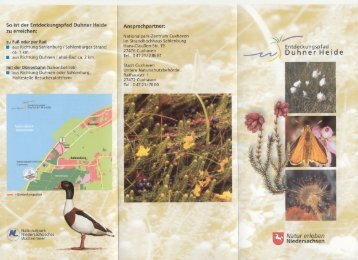 Flyer Entdeckungspfad Duhner Heide als PDF