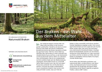 Der Braken – ein Wald aus dem Mittelalter - zurück