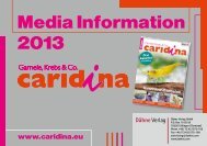 Media Information 2013 - DIYonline