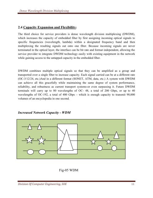 Dense Wavelength Division Multiplexing - DSpace at CUSAT ...