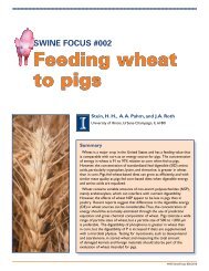 Feeding wheat to pigs - Hans H. Stein - University of Illinois at ...
