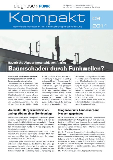 Kompakt 09/2011 - Diagnose Funk