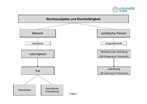 Rechtssubjekte und Rechtsfähigkeit Mensch Juristische Person