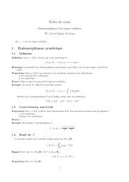 Endomorphismes remarquables d'un espace euclidien