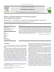 Influence of drying temperature on functional properties of wet ...