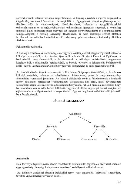 15. A gazdasági társaságok alapításának gazdasági és jogi ...