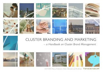 Cluster Brand Management