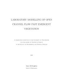 laboratory modelling of open channel flow past emergent vegetation