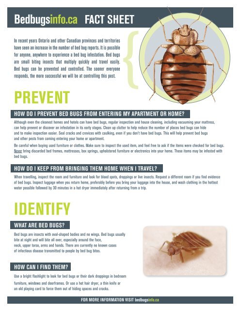 PREVENT IdENTIFy - Bed bugs