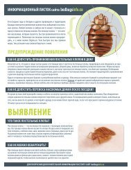 выявление что такое постельные клопы? - Bed bugs