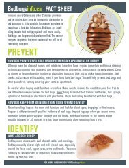 What are Bed BuGs?