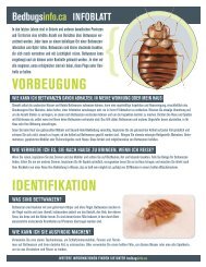 VORBEUGUNG IDENTIFIKATION - Bed bugs