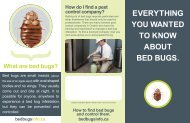 What are bed bugs?