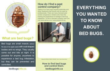 What are bed bugs?