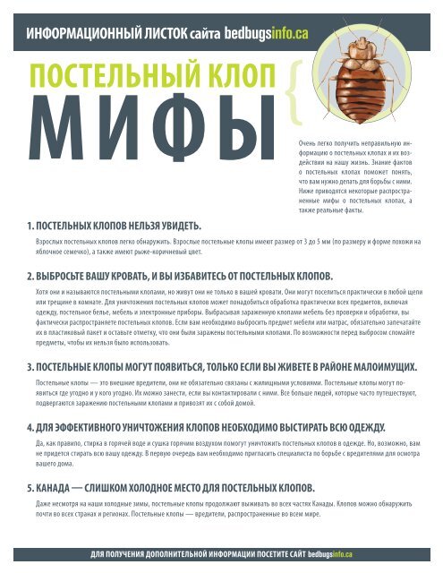 Постельный Клоп Фото Размеры Постельный Клоп Фото Размеры
