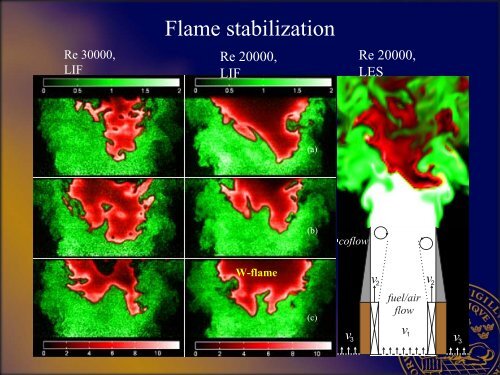 Experimental and LES Study of Low Swirl Flame