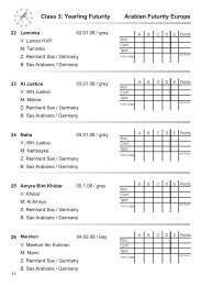 Arabian Futurity Europe Class 3: Yearling Futurity