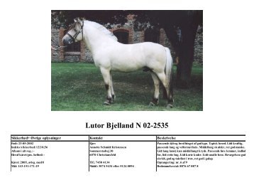 Lutor Bjelland N 02-2535