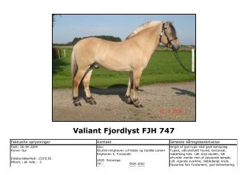 Valiant Fjordlyst